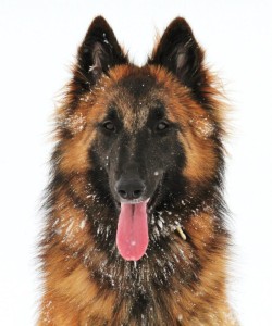 427362_598593910156432_900080892_n