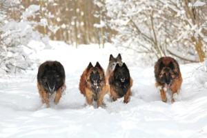 48092_598596966822793_1625737614_n