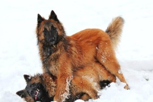 48095_597794083569748_678417404_n