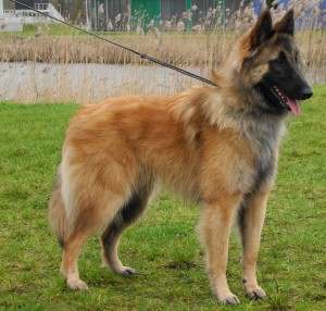 539725_259443224188924_1858965955_n