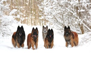 600454_598596770156146_1110423147_n