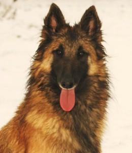 67644_10200319407057624_1655685269_n