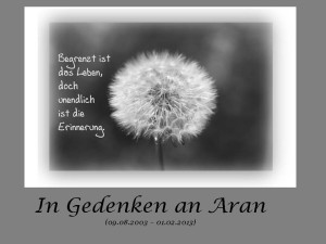 In Gedenken an Aran