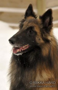 11149_10200447504252384_327042191_n