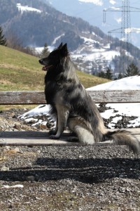 156069_4560452297368_2100773416_n