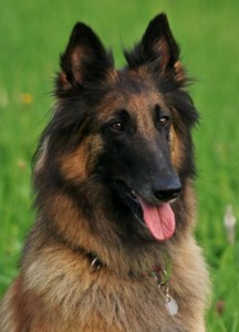 179677_196317127050781_3962212_n