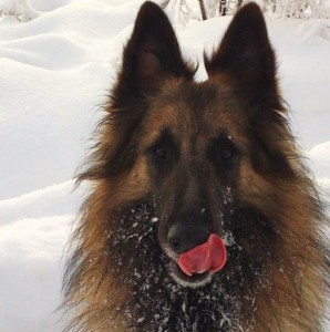 23323_10151232170608339_2006137277_n