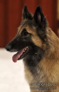 379175_10200447508092480_1026081776_npassion