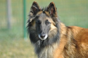 382231_10200716509298102_2119161021_n