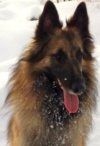 397465_10151232162578339_1767424828_n