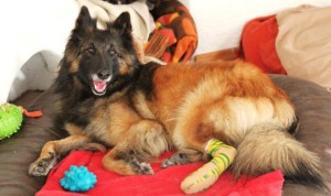 44449_612473402101816_1341397108_n