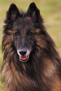 480326_616247418391081_818643884_n