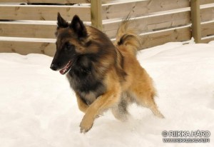 481089_10200447504412388_1864941298_n