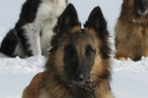 483718_487894074606400_929731842_n