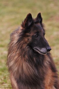 483886_616246581724498_306411663_n