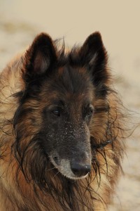 484238_616249071724249_1833499703_n