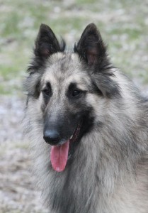 524849_10200603460277973_1319806623_n