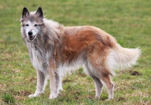 531469_616246851724471_1726988463_n