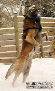 531566_10200447505292410_1852150083_n