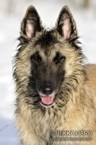 535756_10200392465876459_1692386782_n