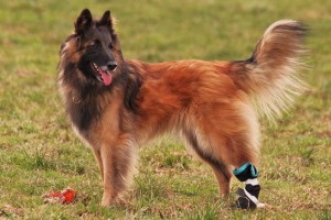 538983_616246131724543_2050689772_n