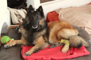 542728_612472328768590_1283724764_n