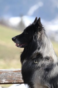 550058_4560451577350_260532144_n