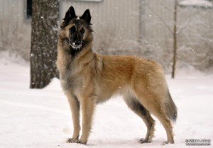 576458_4970019370508_952552749_n