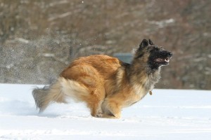 580582_487893844606423_1067306144_n