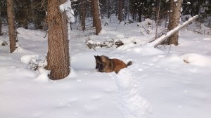 598357_10151297645413339_706155449_n