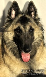 604092_10200392465356446_731835458_n