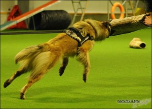 246558_4669517300319_429394264_n