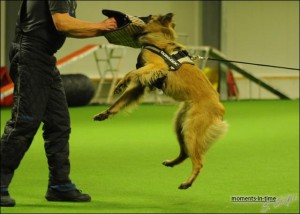 483711_4669518740355_995089953_n