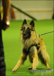 486050_4669518620352_1374078661_n