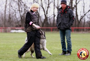 554830_437342129689603_1120803242_n