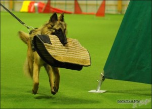 67078_4669519060363_1256438195_n