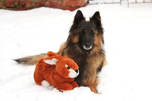 907238_621857961163360_548117529_n