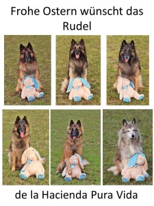 Frohe_Ostern 2013