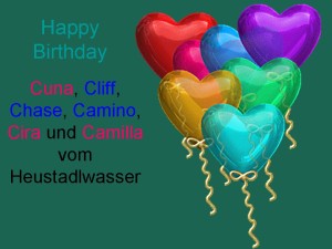 Happy Birthday_C-Wurf_Heustadlwasser_27.03.2013