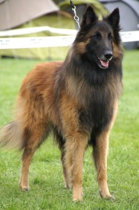 392378_587840474573121_1509281341_n