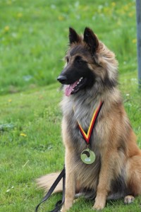 532779_523382894386863_393861739_n