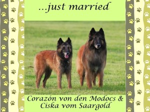 944401_641434149205741_1426886779_n