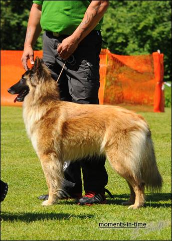 971471_4914732790553_618034286_n