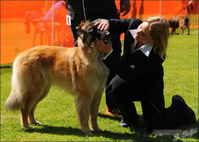 971568_4914727750427_263457845_n