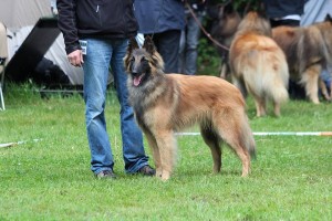 Atento_2_DKBS_18.05.2013