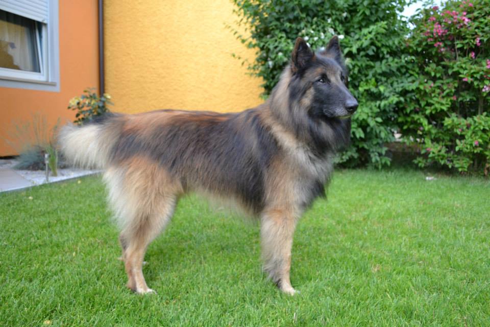 Arras_Juni _4_2013