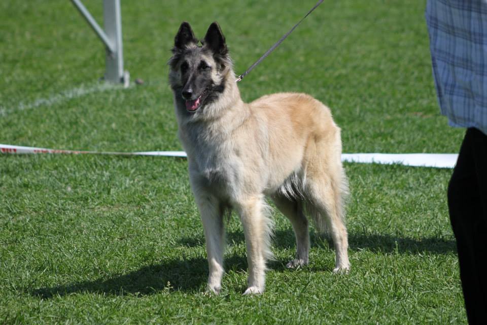 Phoebe_02.06.2013_show