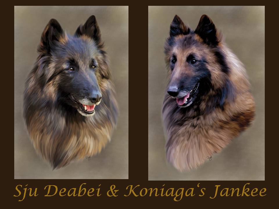 Sju Deabei & Koniaga‘s Jankee