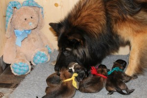 1001129_674771409205348_819165080_n