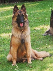 1001361_590847470960562_1162349946_n